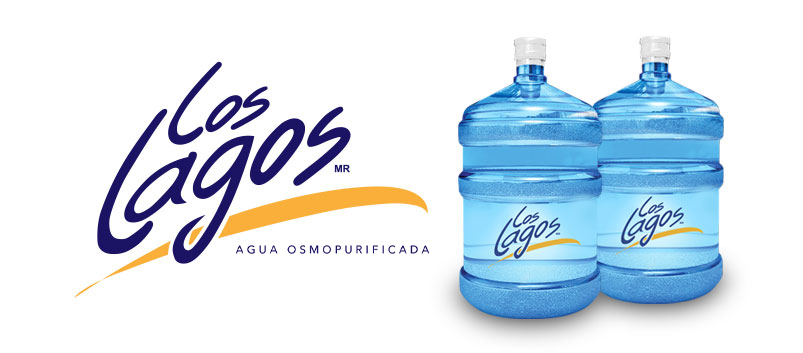 Proceso de Purificacion Agua Los Lagos